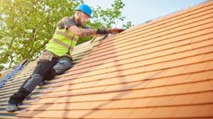 Best Roof Moss and Algae Removal  in Taylors, SC
