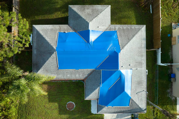 Best Cold Roofs  in Taylors, SC