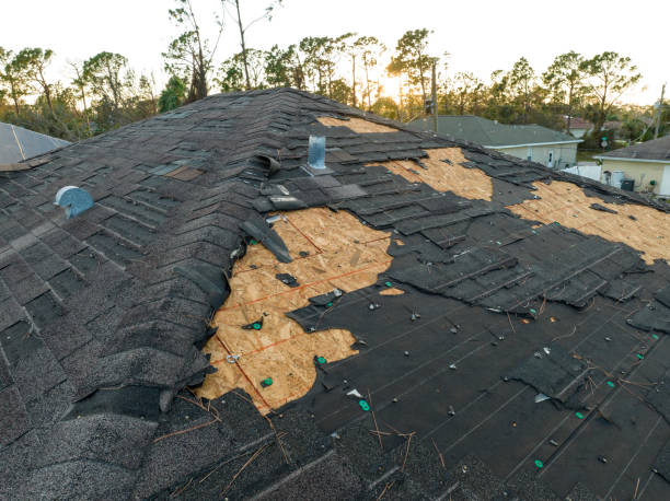 Best Roof Ventilation Installation  in Taylors, SC