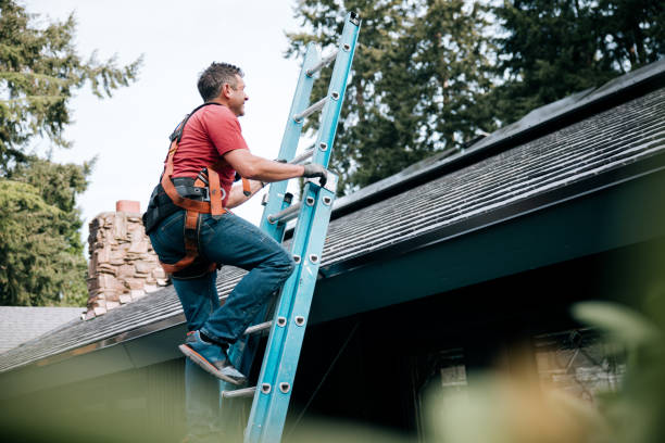 Best Asphalt Shingle Roofing  in Taylors, SC