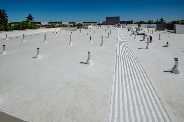 Best Skylight Installation and Repair  in Taylors, SC
